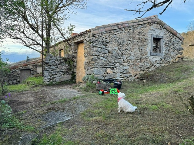 Photo bien immobilier